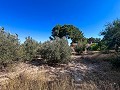 Large Country House with Pool and Annex in Sax in  Dream Villas Alicante