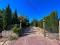 Large Country House with Pool and Annex in Sax in  Dream Villas Alicante