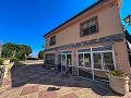 Large Country House with Pool and Annex in Sax in  Dream Villas Alicante