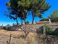 Large Country House with Pool and Annex in Sax in  Dream Villas Alicante