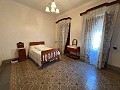 Maison de ville du XXe siècle à Novelda in  Dream Villas Alicante