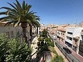 Maison de ville du XXe siècle à Novelda in  Dream Villas Alicante