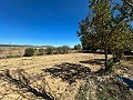 Espaciosa casa de campo con 8 habitaciones para reformar en Yecla in  Dream Villas Alicante