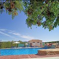 Entzückende 2-Zimmer-Wohnung im Erdgeschoss in  Dream Villas Alicante