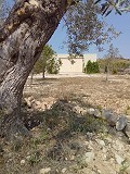Lovely Authentic 4 Bed 2 Bath Spanish Finca with Guest House in Pinoso. in  Dream Villas Alicante