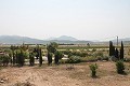 Lovely Authentic 4 Bed 2 Bath Spanish Finca with Guest House in Pinoso. in  Dream Villas Alicante