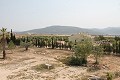 Lovely Authentic 4 Bed 2 Bath Spanish Finca with Guest House in Pinoso. in  Dream Villas Alicante