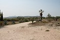 Lovely Authentic 4 Bed 2 Bath Spanish Finca with Guest House in Pinoso. in  Dream Villas Alicante