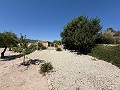 Stunning Country Home in  Dream Villas Alicante