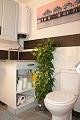 Preciosa casa esquinera de 2 dormitorios y 2 baños en Torre del Rico (Murcia). in  Dream Villas Alicante