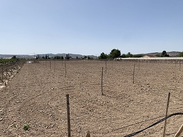 Bouwperceel tussen Novelda en Monforte Del Cid