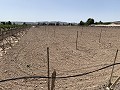 Bouwperceel tussen Novelda en Monforte Del Cid in  Dream Villas Alicante