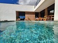 Beautiful New Build Villa including plot with pool in Jumilla. in  Dream Villas Alicante