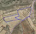 Beautiful New Build Villa including plot with pool in Jumilla. in  Dream Villas Alicante