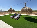 Schöne Villa mit 3 Schlafzimmern und 2 Bädern in Pinoso. in  Dream Villas Alicante