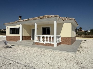 Beautifully renovated 3 Bed 2 Bath villa with pool in Fortuna.