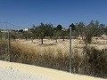 Beautifully renovated 3 Bed 2 Bath villa with pool in Fortuna. in  Dream Villas Alicante