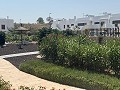 Lovely 2 Bedroom 2 bathroom  Apartment, in Vistabella golf Los Montesinos in  Dream Villas Alicante