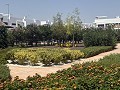 Lovely 2 Bedroom 2 bathroom  Apartment, in Vistabella golf Los Montesinos in  Dream Villas Alicante
