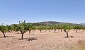 Charmantes Landhaus mit 13 Schlafzimmern und 3 Badezimmern in Encebras. in  Dream Villas Alicante