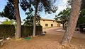 Charmantes Landhaus mit 13 Schlafzimmern und 3 Badezimmern in Encebras. in  Dream Villas Alicante