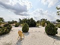 Preciosa villa de 5 dormitorios y 4 baños en Pinoso. in  Dream Villas Alicante