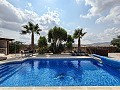 Preciosa villa de 5 dormitorios y 4 baños en Pinoso. in  Dream Villas Alicante