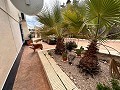 Spiritual retreat in Sax with endless possibilities in  Dream Villas Alicante