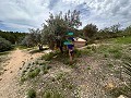 Spiritual retreat in Sax with endless possibilities in  Dream Villas Alicante