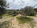 Spiritual retreat in Sax with endless possibilities in  Dream Villas Alicante