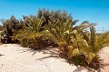 Villa española bellamente renovada en venta en Albatera in  Dream Villas Alicante