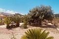 Villa española bellamente renovada en venta en Albatera in  Dream Villas Alicante