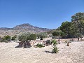 Magnífica villa de 4 dormitorios con piscina y vistas inmejorables en Fortuna. in  Dream Villas Alicante