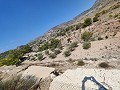 Magnífica villa de 4 dormitorios con piscina y vistas inmejorables en Fortuna. in  Dream Villas Alicante