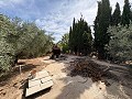 Amplia casa con garaje y gran parcela: Una casa con grandes posibilidades in  Dream Villas Alicante