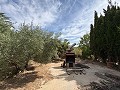 Amplia casa con garaje y gran parcela: Una casa con grandes posibilidades in  Dream Villas Alicante