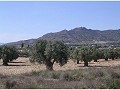 Plot of land for sale in (Rincon Del Moro.) Sax in  Dream Villas Alicante