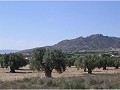 Plot of land for sale in (Rincon Del Moro.) Sax in  Dream Villas Alicante