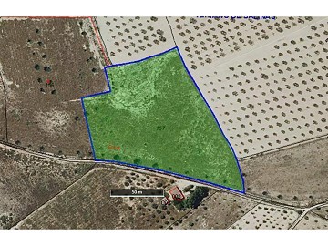 Perceel te koop in Paraje Camara (Salinas).