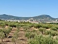 Villa mit 3 Schlafzimmern, perfekt für Pferdeliebhaber in  Dream Villas Alicante