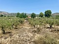 Villa mit 3 Schlafzimmern, perfekt für Pferdeliebhaber in  Dream Villas Alicante