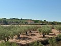 Villa mit 3 Schlafzimmern, perfekt für Pferdeliebhaber in  Dream Villas Alicante