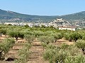 Villa mit 3 Schlafzimmern, perfekt für Pferdeliebhaber in  Dream Villas Alicante