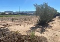 Hermosa villa de 3 dormitorios en Salinas cerca de la ciudad. in  Dream Villas Alicante