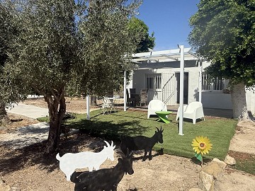 Nice little 1 Bed 1 Bath Finca, in Daya Vieja.
