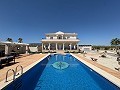Villas de obra nueva con efecto 'wow' en Pinoso in  Dream Villas Alicante
