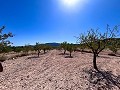 Grande opportunité à El Xinorlet : maison à rénover avec grotte et terrain in  Dream Villas Alicante