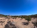 Grande opportunité à El Xinorlet : maison à rénover avec grotte et terrain in  Dream Villas Alicante