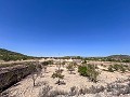 Grande opportunité à El Xinorlet : maison à rénover avec grotte et terrain in  Dream Villas Alicante