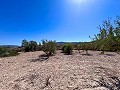 Grande opportunité à El Xinorlet : maison à rénover avec grotte et terrain in  Dream Villas Alicante